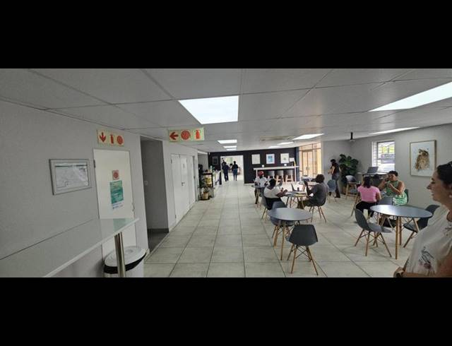 BUSINESS PROPERTY TO RENT IN HALFWAY GARDENS